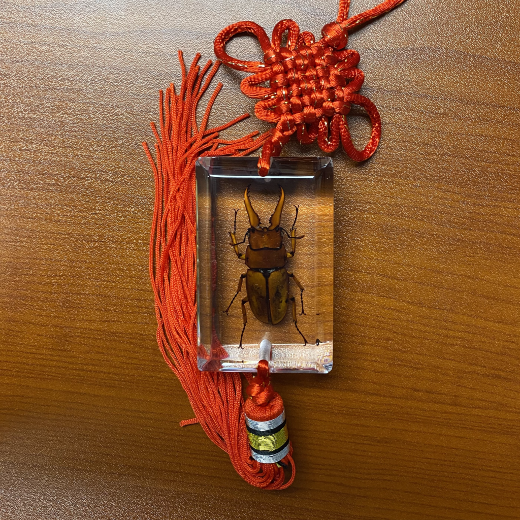 Beetle Hanging Decoration