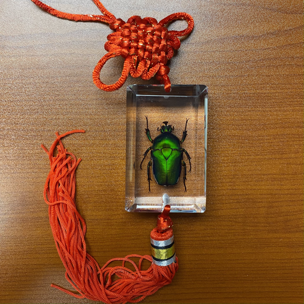 Beetle Hanging Decoration (#2)