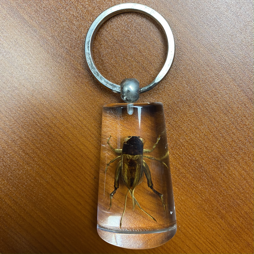 Cricket Keychain